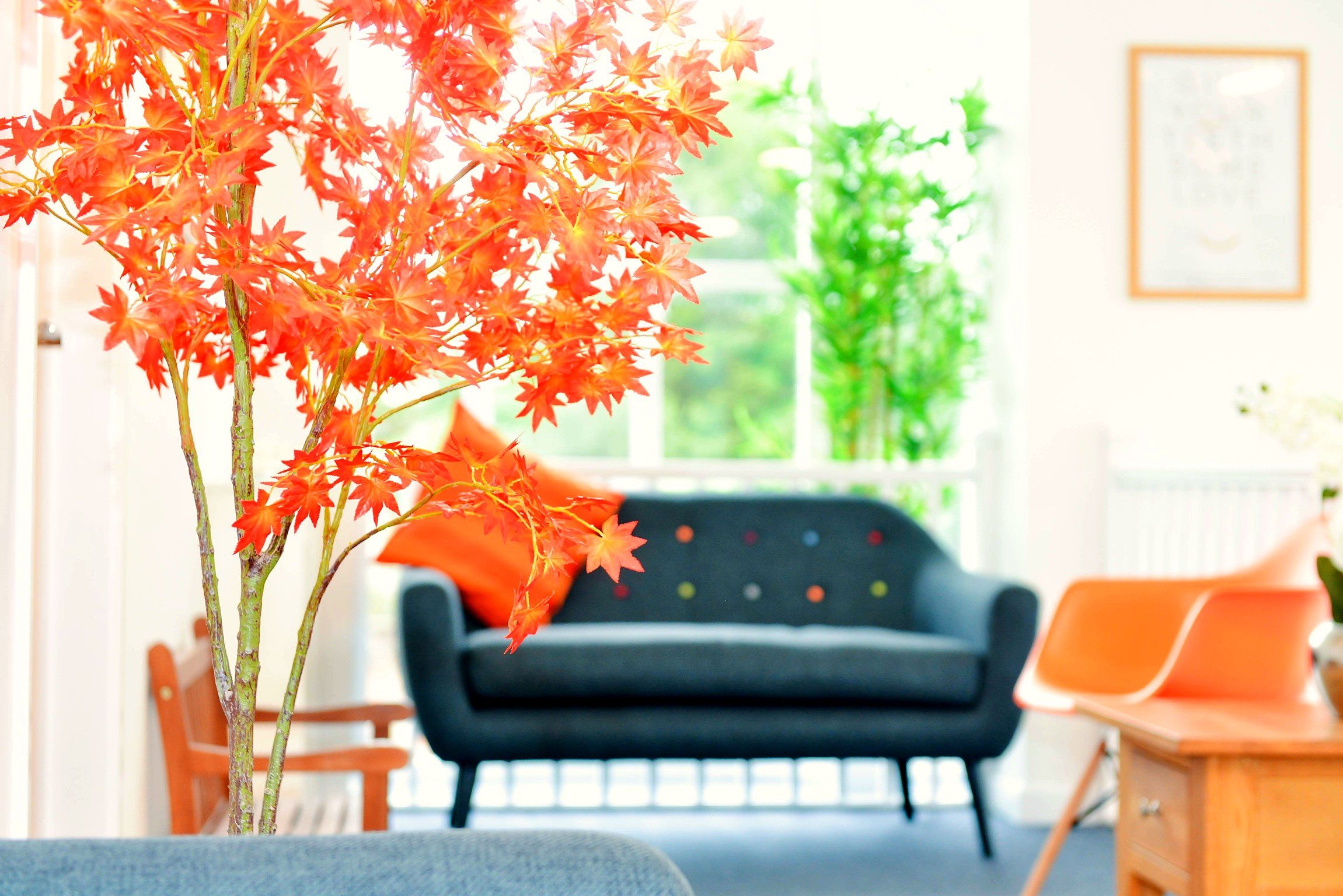 The upstairs patient lounge, with a grey sofa, orange cushions and a window onto the garden